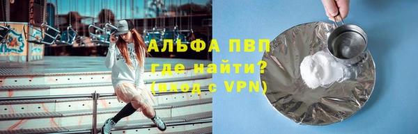 СК Белокуриха