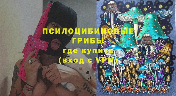 СК Белокуриха