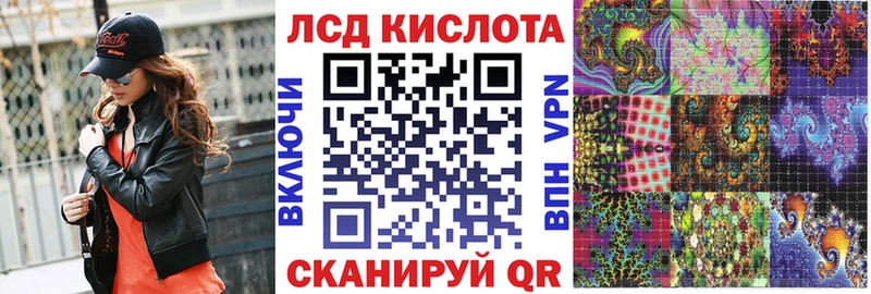 где купить наркоту Дигора мориарти наркотические препараты Марки NBOMe 1500мкг