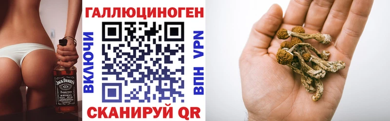 купить наркотики цена  Дигора  Псилоцибиновые грибы GOLDEN TEACHER 